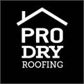 PRO Dry Roofing