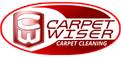 Carpet Wiser